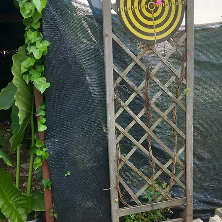Eden